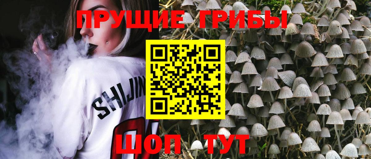 Северск  Псилоцибиновые грибы Psilocybine cubensis  где купить наркотик  Вход с VPN 